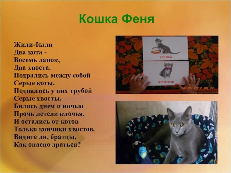 Кошка Феня. Жили были два кота восемь лапок. Жили были два кота восемь лапок два хвоста. Стих жили были два кота.