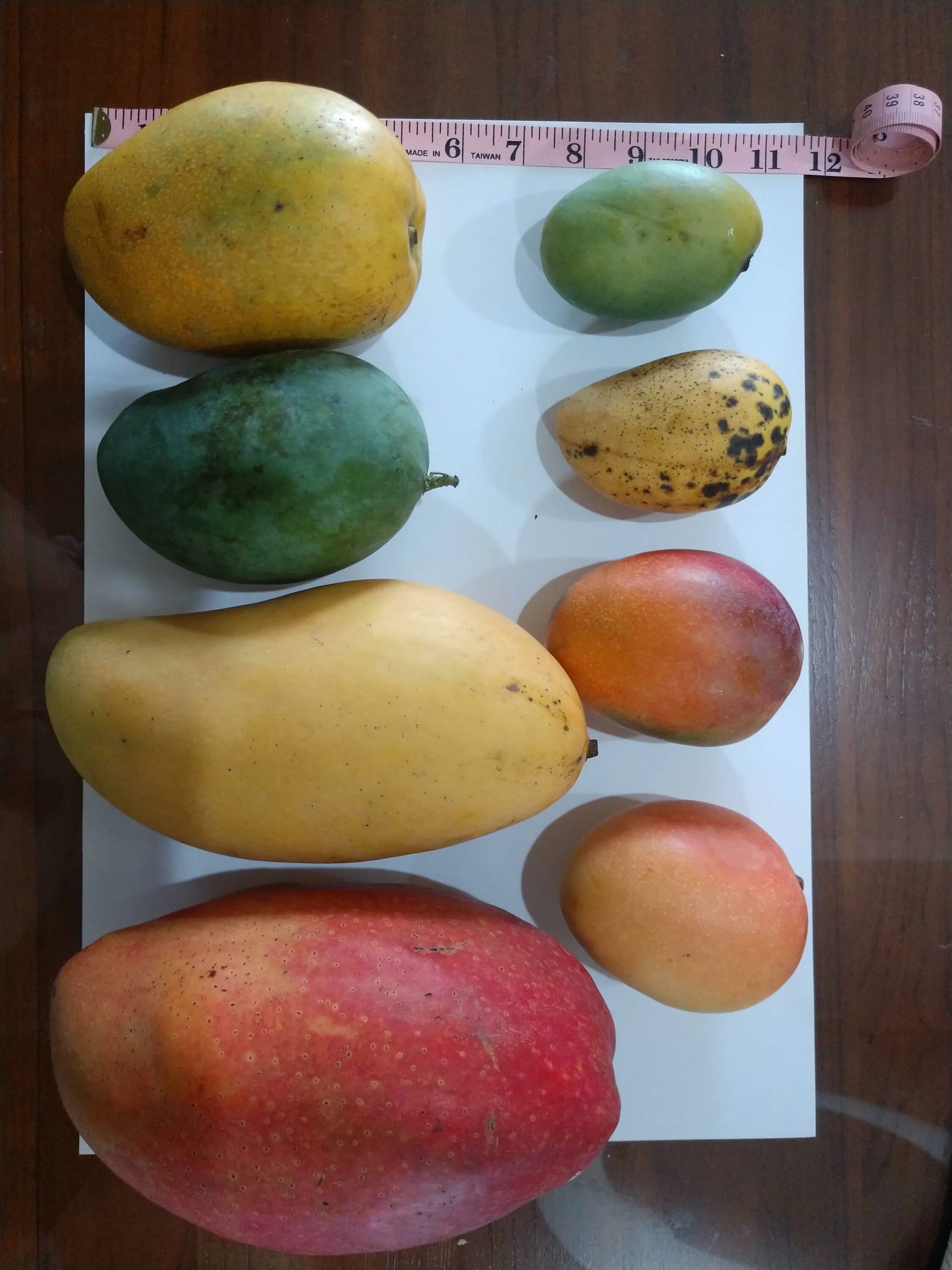 Манго Тайвань. Сорта манго. Манго (фрукт).
