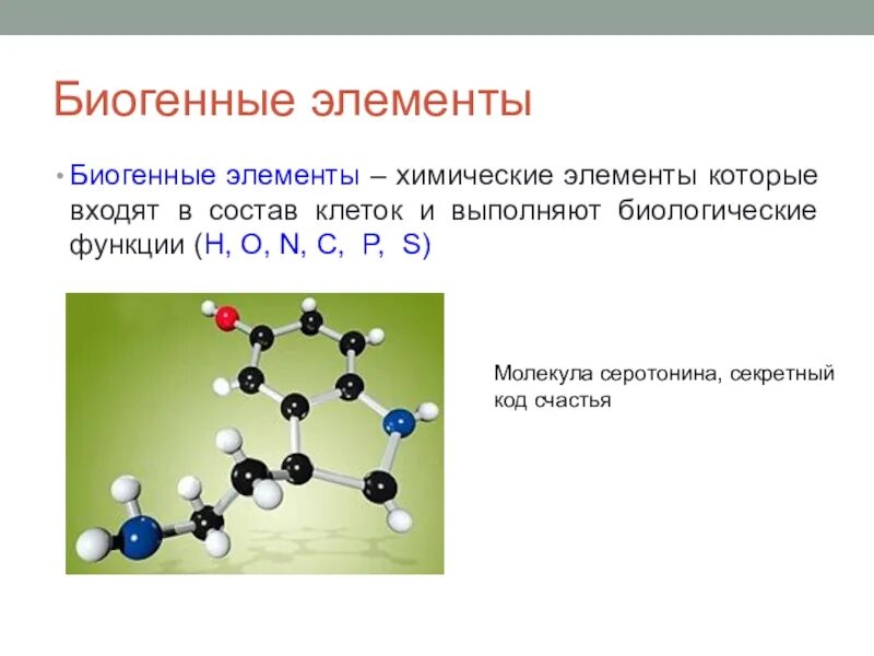 Биогенные элементы в организме человека. Классификация биогенных элементов. Химия биогенных элементов. Роль биогенных элементов в организме человека. Выберите биогенные вещества