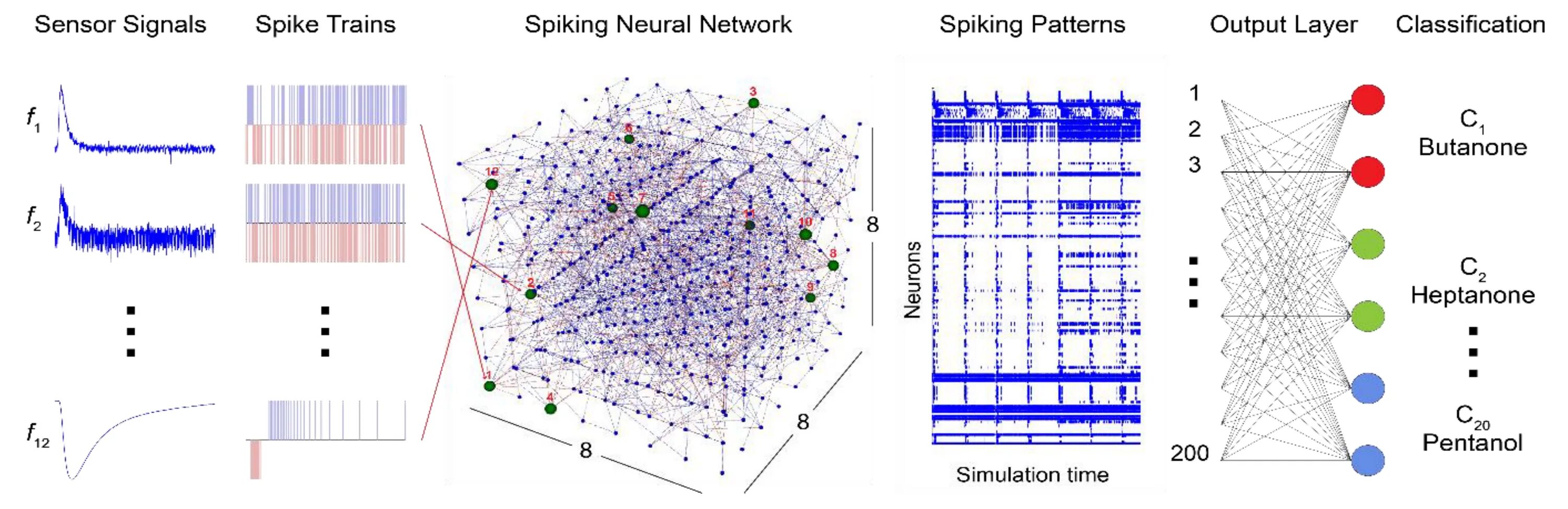 Визуализация нейронной сети. Spiking Neural Network. Строение нейронной сети. Математическая модель нейронной сети.