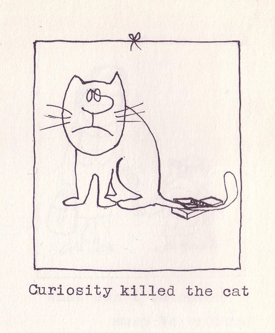 Curiosity killing the cat. Curiosity Killed the Cat русский эквивалент. Пословица Curiosity Killed a Cat.. Curiosity Killed the Cat Мем. Curiosity Killed a Cat на русском.