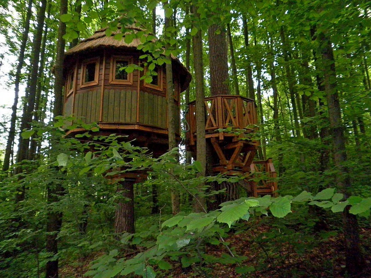 «дом на дереве» поселение московский. алникский дом на дереве. капитанский домик на дереве. дом на дереве ростов. дом на дереве ростов.