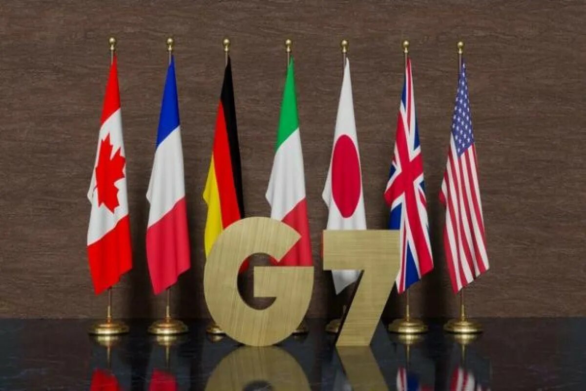 G 7 образован