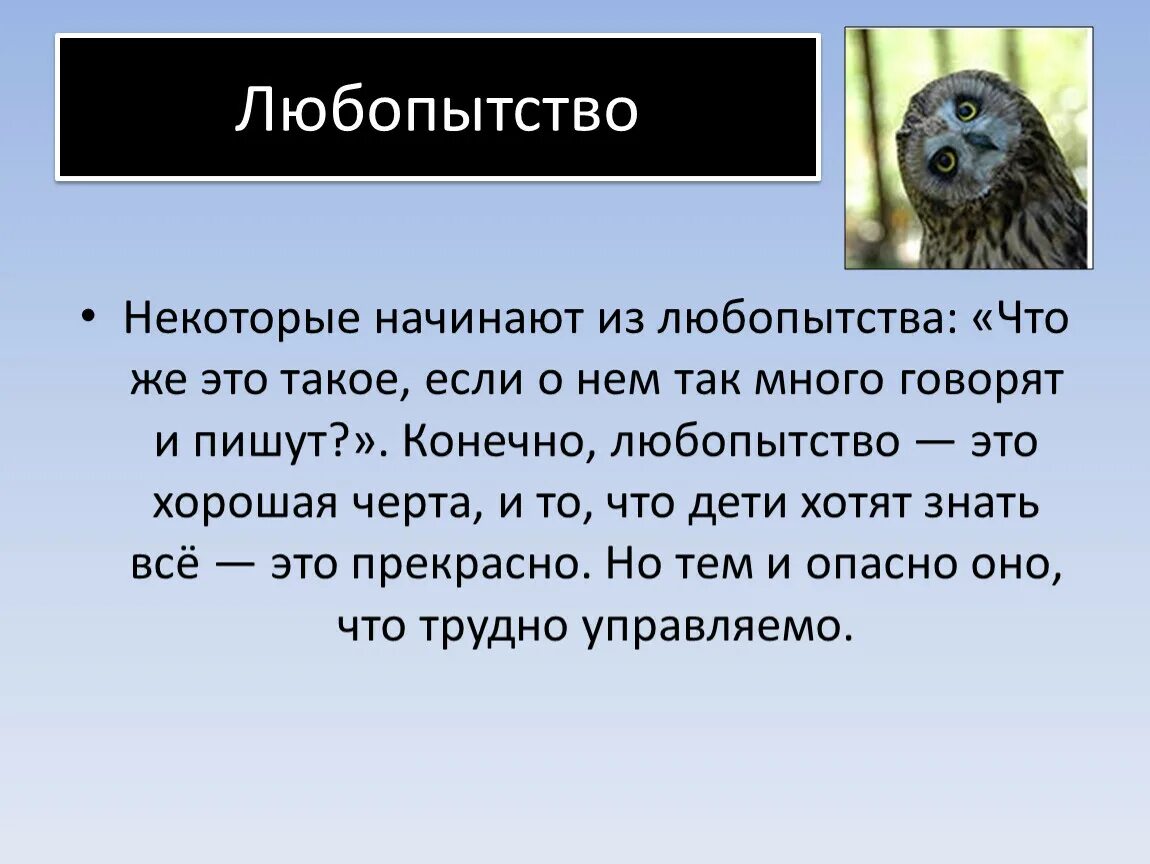 Дать определение любознательность. Любопытство. Высказывания про любопытство. Понятие любопытство. Любопытно.