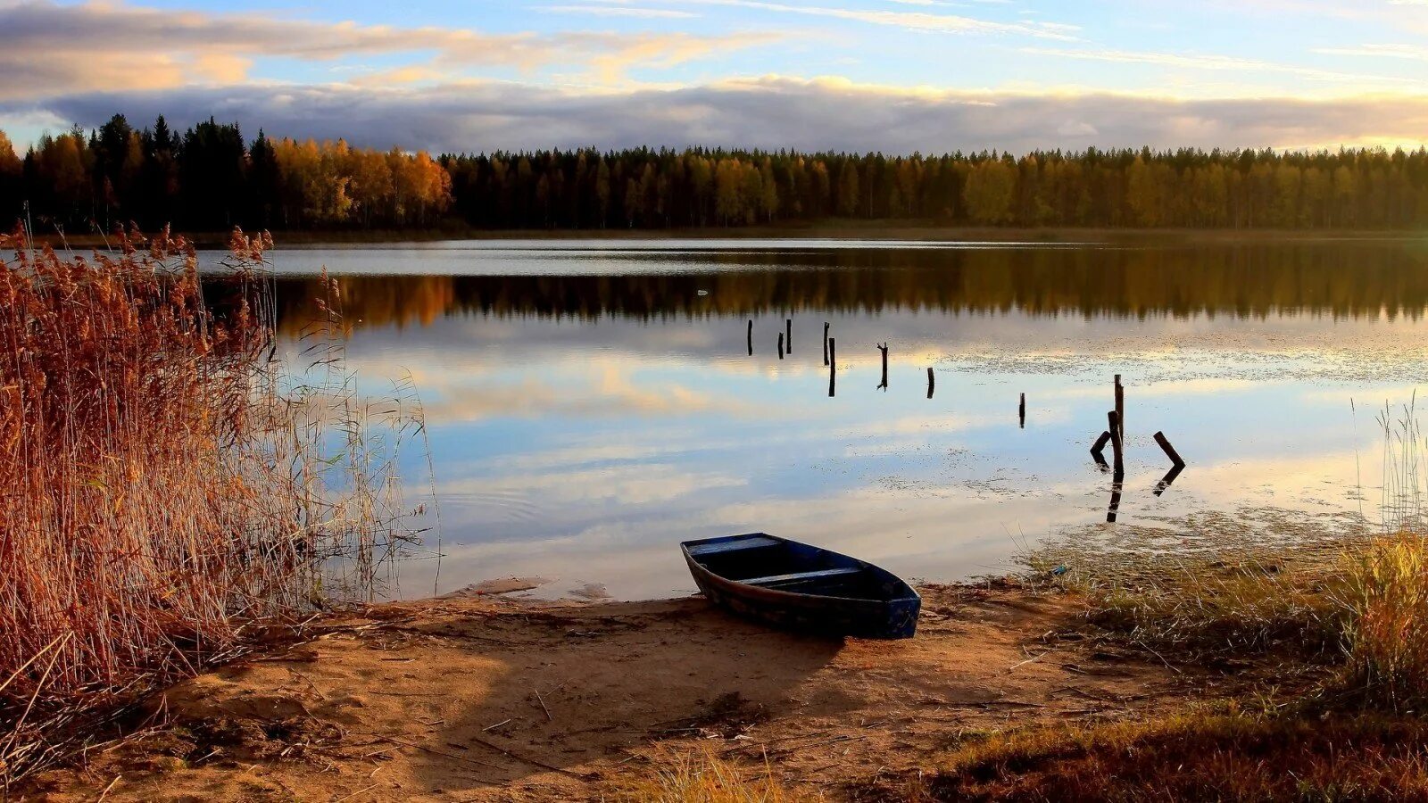 Лодка на берегу озера. Лодка на озере. Берег озера. Речной пейзаж. Рыбалка на озерах тайги