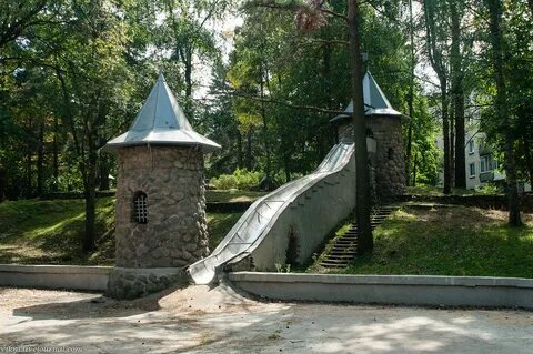 Приморский сосновый бор