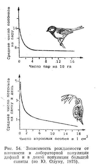 При чрезмерном увеличении численности плотности популяции. Динамика популяции большой синицы график. Флюктуирующий Тип динамики численности популяций. Зависимости численности популяции от плотности. Типы зависимости роста популяции от плотности.