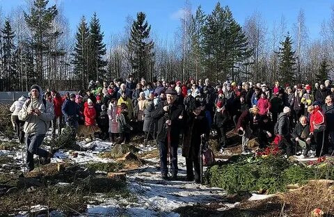 Погода в каменном бору