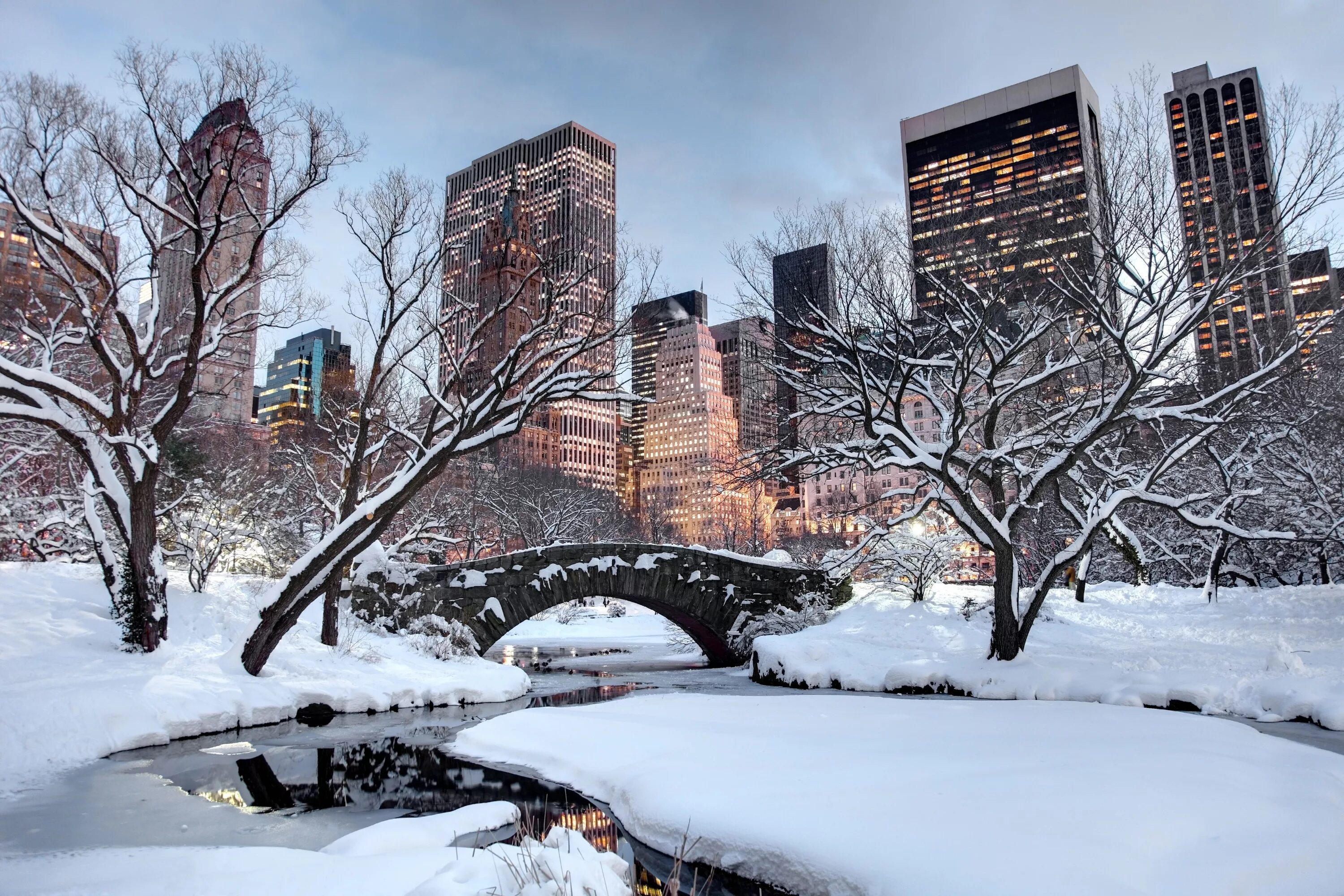 Америка зимнее время. Централ парк Нью Йорк зима. Центральный парк Нью-Йорк зимой. Центральный парк Манхеттен Нью Йорк зима. Парк Авеню зимой Нью Йорк.
