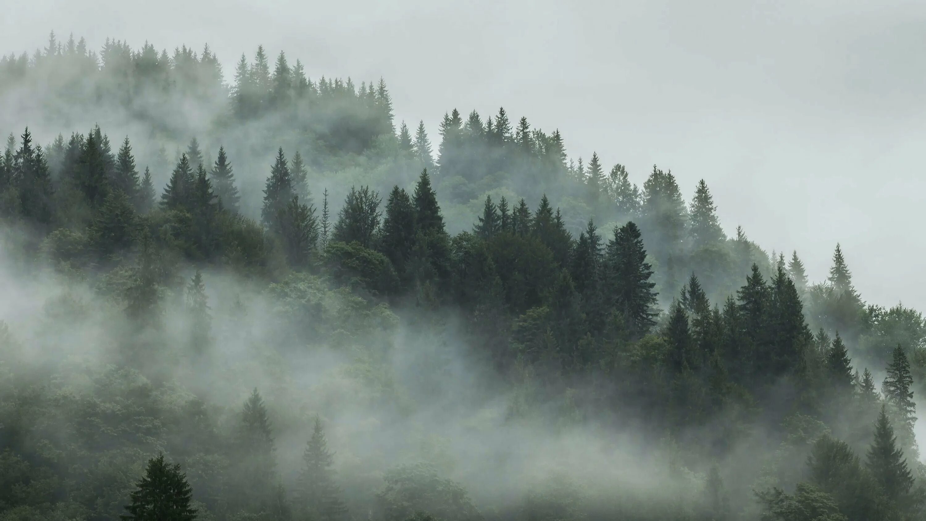 Мод better fog