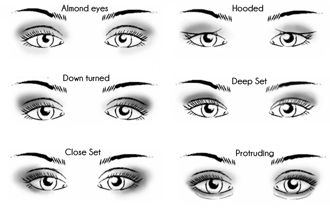 Form eyes. Формы глаз схема. Разновидности форм глаз. Формы женских глаз. Формы разреза глаз.