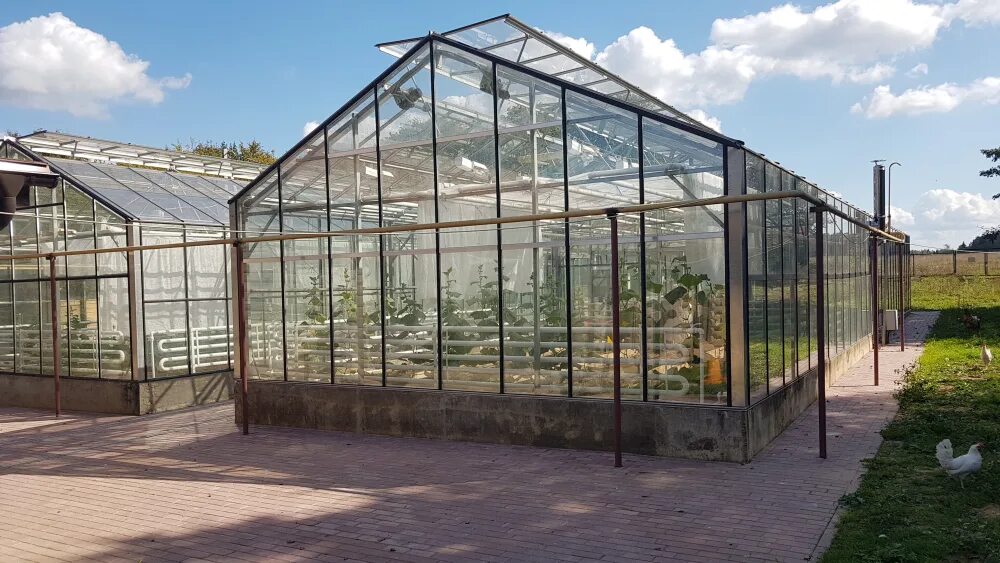 теплица арочная "крепыш 2,5/3м полимер". теплица капелька 2х2. зимняя теплица из поликарбоната. теплица домиком. зимняя стеклянная теплица.