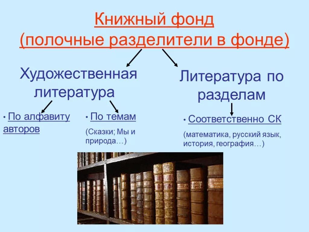 Книжный фонд. Полочные разделители для книжного фонда. Разделы литературы в библиотеке. Книжный фонд библиотеки. В каком разделе библиотеки можно найти книгу