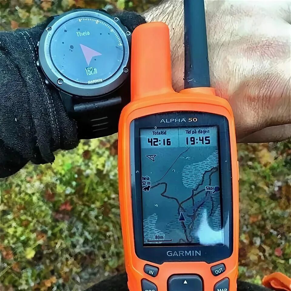 Навигатор Garmin Alpha 50 with T5 S - купить по низкой цене в интернет-магазине 