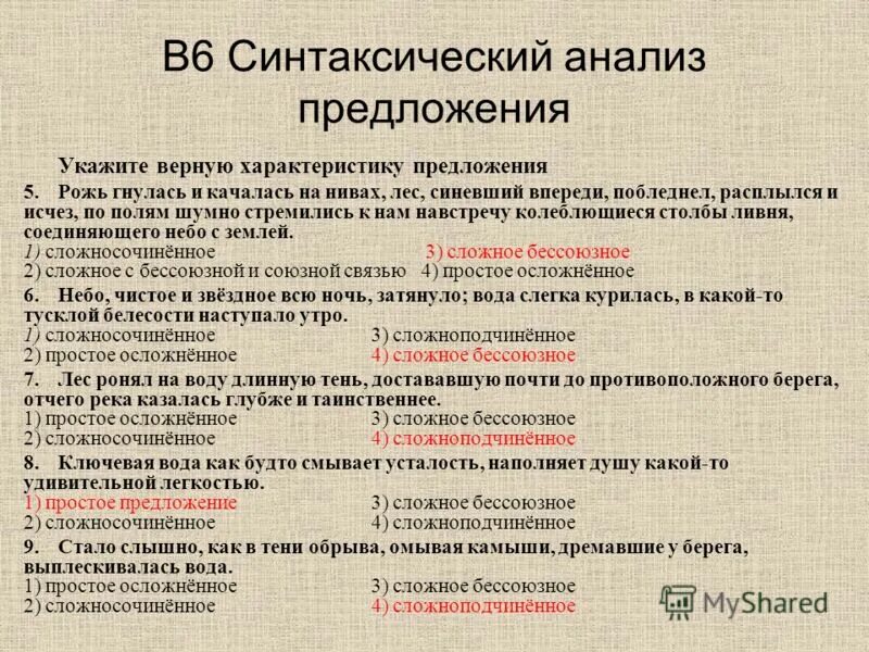 лес поздней осенью. связи в весеннем лесу. весна в лесу. заповедник тульской области щегловская засека. щегловский лес тула.