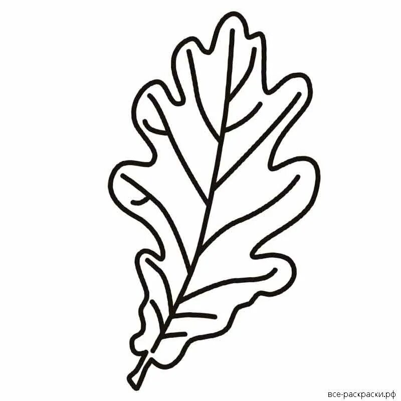 Дубовые листочки раскраска. Дубовые листья шаблоны для вырезания. Дубовый лист трафарет. Дубовый лист раскраска. Вытынанки дубовые листья.