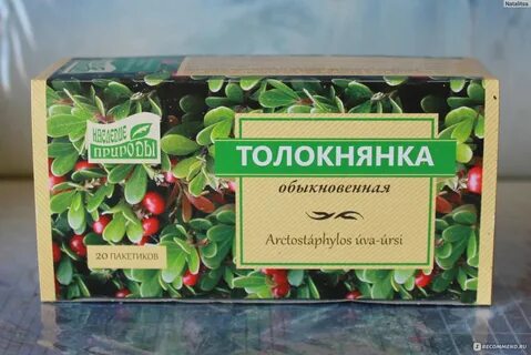 Экстракт толокнянки