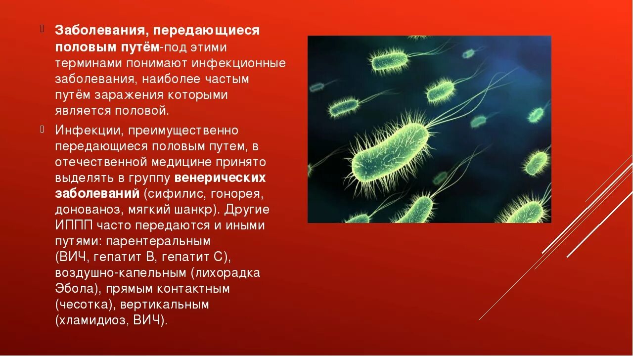 Инфекции передаваемые половым путем доклад. Презентация на тему ЗППП. Сообщение на тему инфекции передаваемые половым путём. Вирусные заболевания половым путем