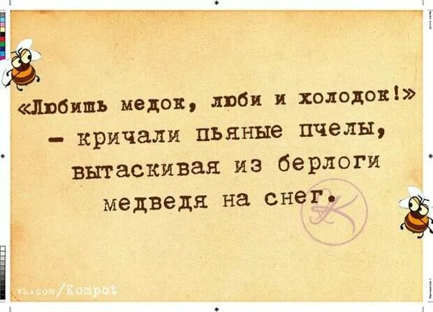 Любишь медок люби и холодок смысл брат. Пословица любишь медок. Пословица любишь медок. Люби медок люби и холодок. Пословица любишь медок.