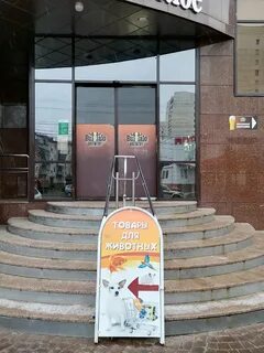 Зоомагазин курск