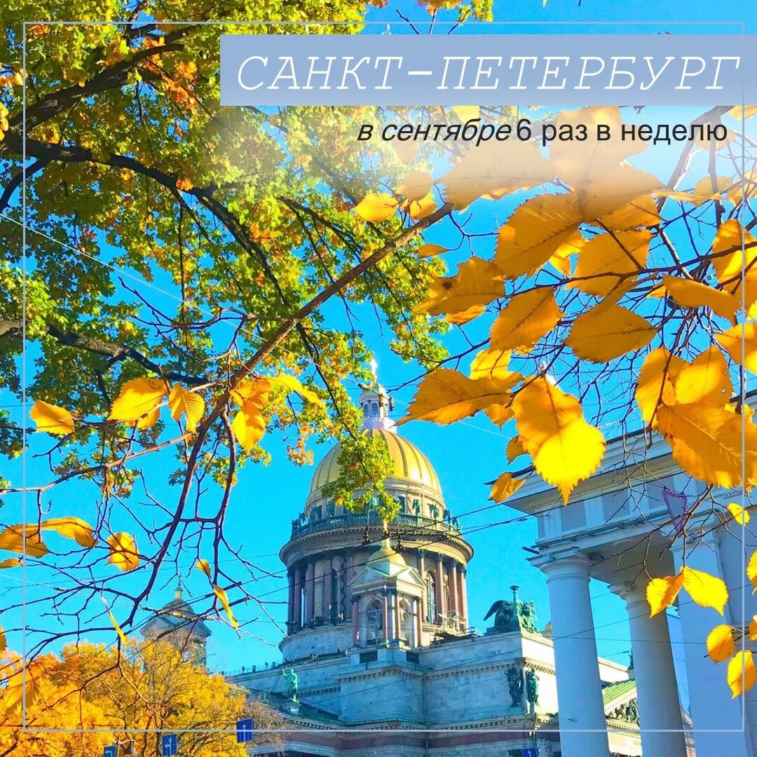 Куда сходить в петербурге в октябре. Осень в питере. санкт-петербург осенью. золотая осень в петербурге.