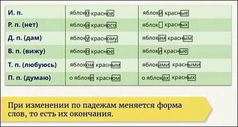 Падеж слова яблоню