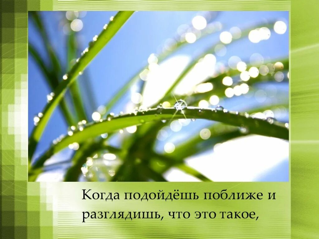 Толстой роса на траве. Какая бывает роса на траве. Какая бывает роса на траве толстой. Какая бывает роса на траве рисунок.