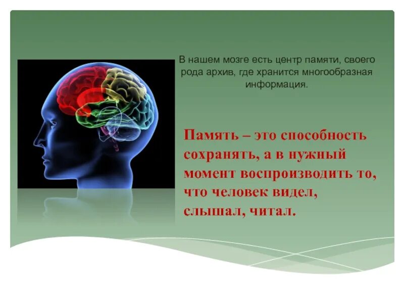Сколько в мозгах памяти. Мозг память. Мозг и память человека. Мозг человека информация. Строение памяти человека.