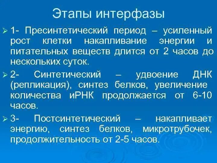 Первая стадия интерфазы. Стадии интерфазы пресинтетический. пресинтетический период интерфазы процессы. фазы интерфазы пресинтетический. фазы интерфаза перпсинтетический период.