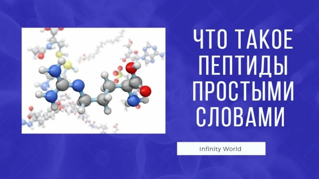 Пептиды это простыми словами. Нейропептиды классификация. Полипептиды это простыми словами. Строение пептидов. Пептиды и белки различаются.