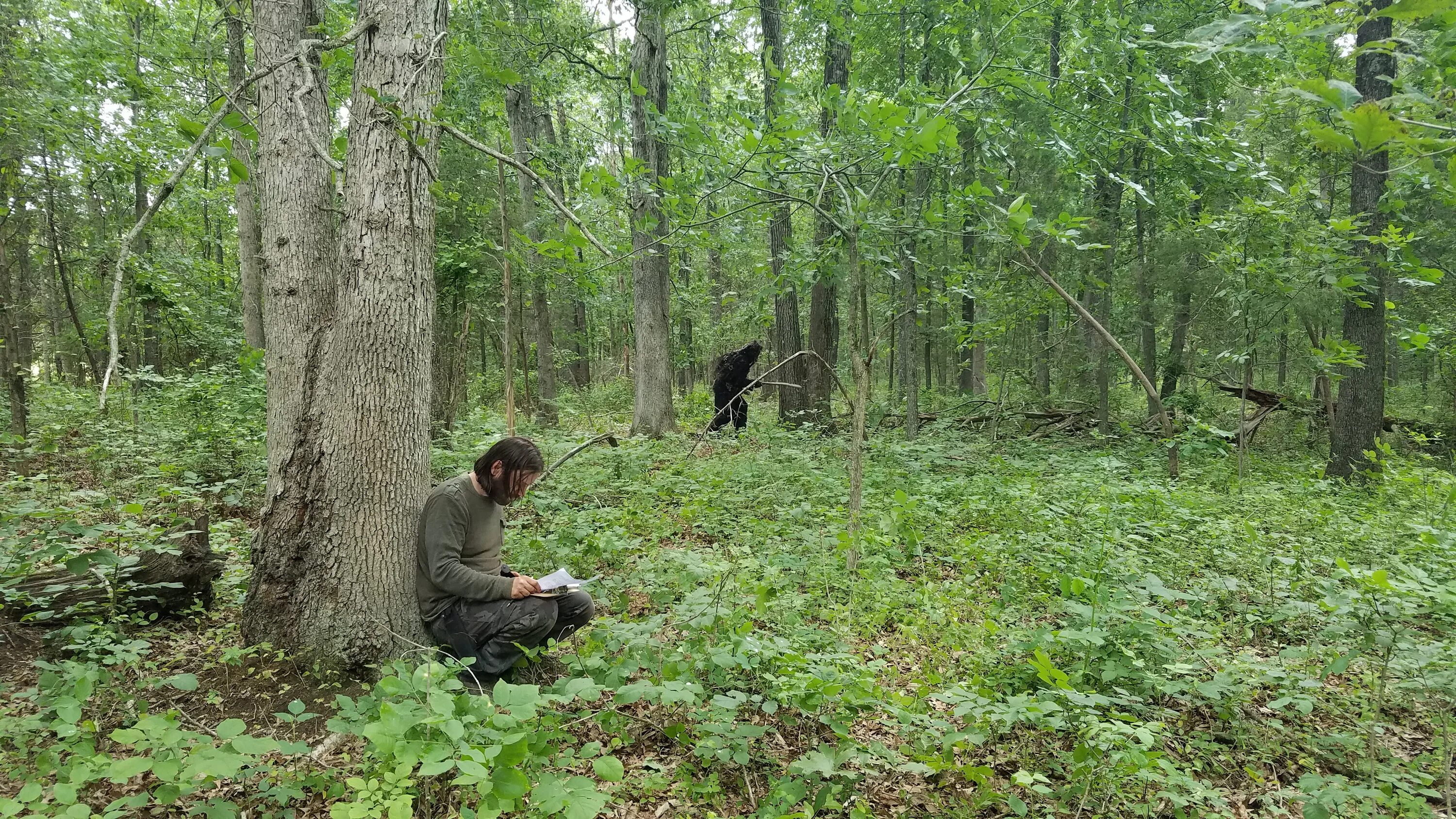 Тропа животных. Высокая трава в лесу. Протоптанная лесная тропа. Тропа животных. Тропинка с животными.