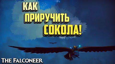 Хей соколе