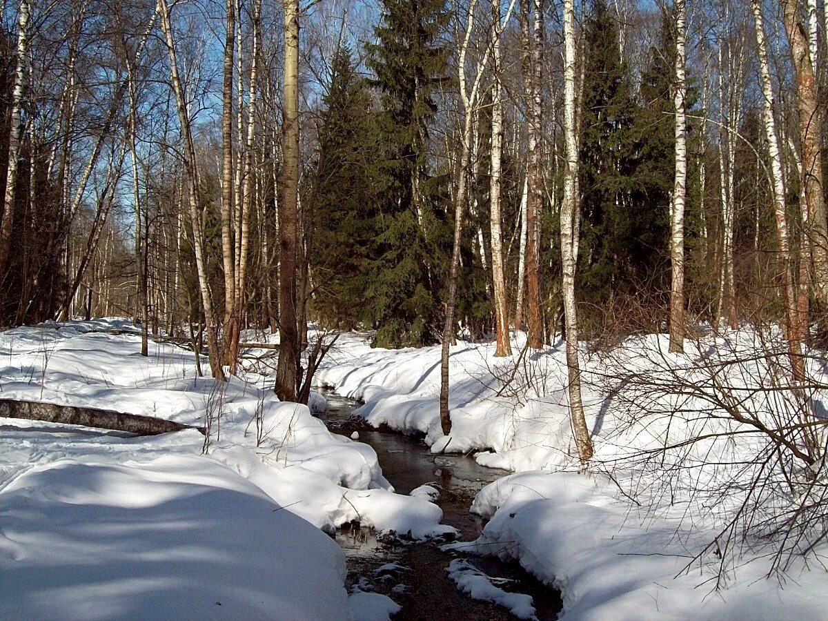 Картинка ручьи весной. Апрельские проталины. Тает снег бегут ручьи. Весенняя Проталинка Левитана.