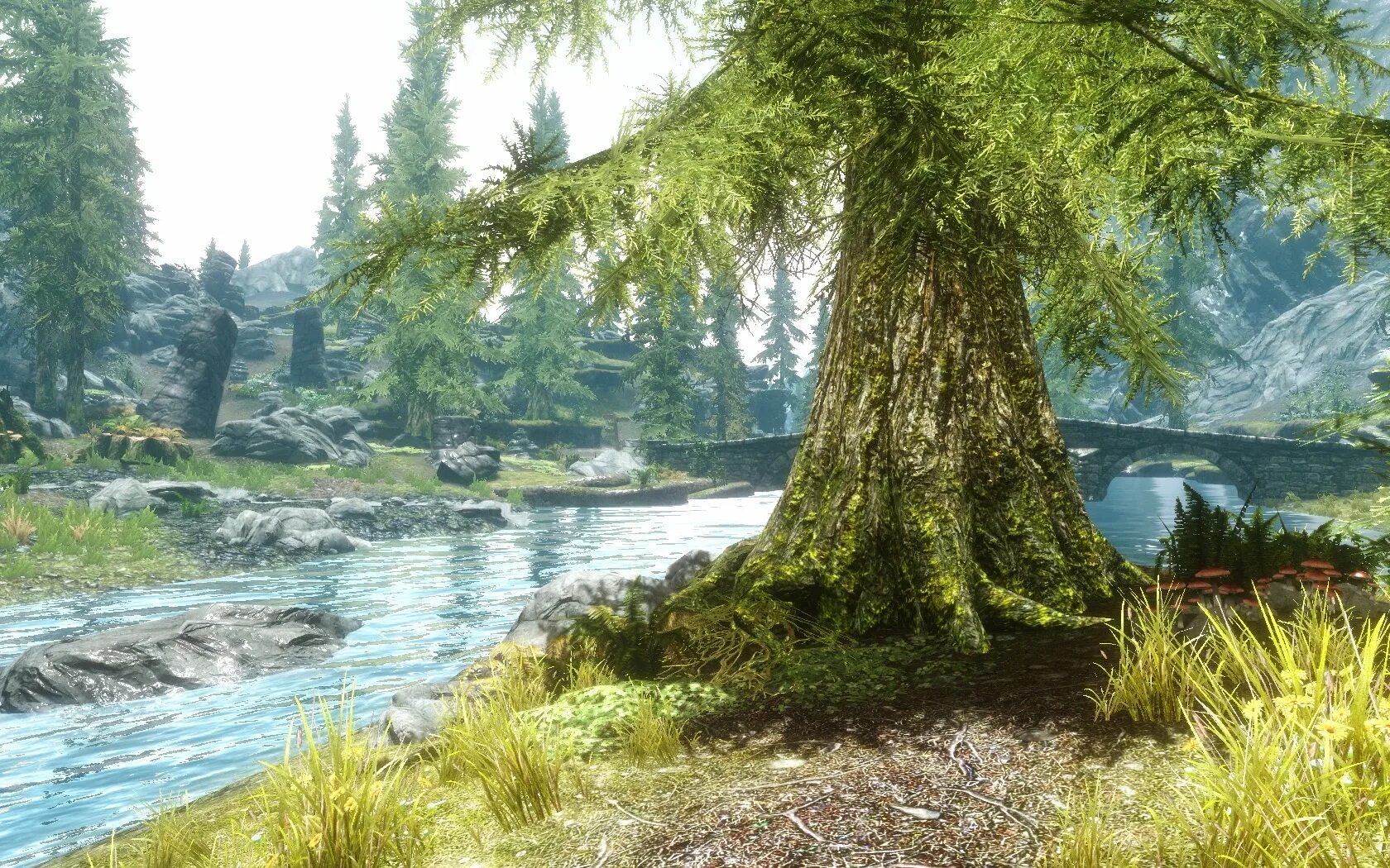 Skyrim mod fix