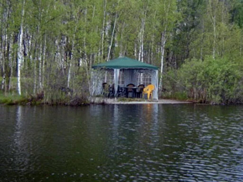 Медвежьи озёра Московская область Щелковский. Медвежьи озёра Московская область рыбалка. Медвежьи озера озеро озера Щелковский район. Медвежьи озера Щелковский район озеро рыбалка. Озеро медвежье рыба