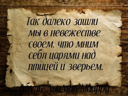 Кто притворно жаловался