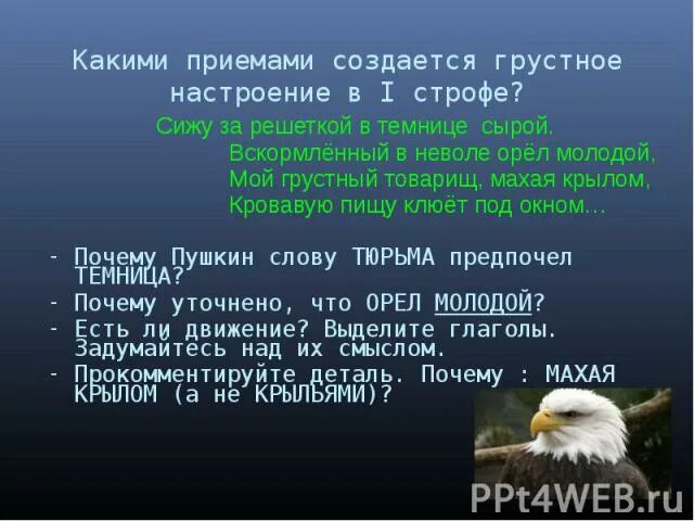 Стих орел молодой. Сижу за решёткой в темнице сырой вскормлённый в неволе Орел молодой. Вскормлённый в неволе орёл молодой стих. Стих сижу за решеткой в темнице сырой вскормленный в неволе Орел. Вскормлённый в неволе орёл.