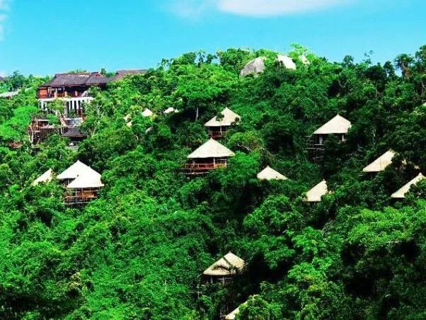 Тропический парк Yalong Bay. Yalong Bay Tropical Paradise Forest Park. На Хайнань Ялонг Бэй с птичьими гнездами. Отель Птичье гнездо Хайнань.