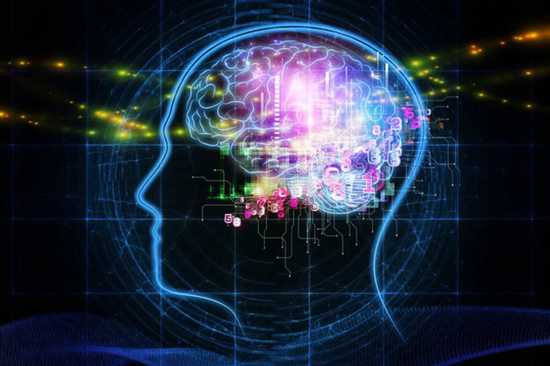 Mind net
