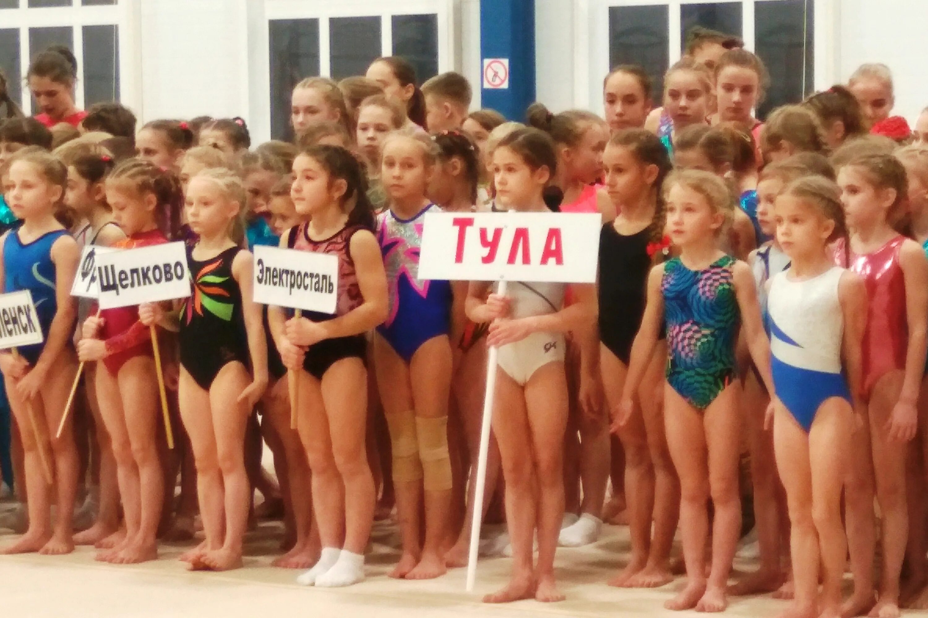 Спортивная школа тула. Спортивная гимнастика Тула. Спорт школа по спортивной гимнастике город Тула. Спортивная гимнастика Тула 2007. Триумф Тула художественная гимнастика.