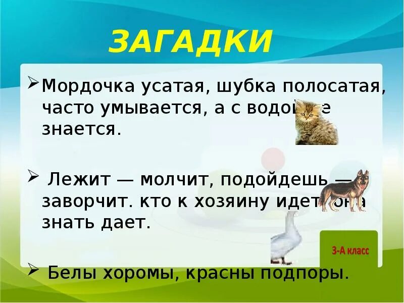 Часто умывается а с водой не знается. Отгадка на загадку белые хоромы красные подпоры. Загадка белые хоромы красные подковы ответ на загадку. Загадка белы хоромы красны подпоры. Мордочка усатая шубка полосатая загадка.