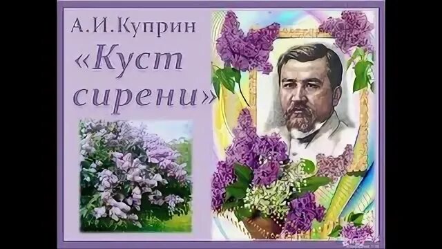 Куприн куст сирени кратчайшее содержание. Александр иванович куприн. куст сирени. аудиокнига.. постер куст сирени александр куприн. аудиокнига куст сирени куприн. куст сирени аудиокнига.