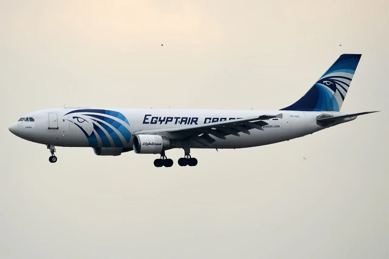 Egyptair отзывы. Airbus a300-622r EGYPTAIR. EGYPTAIR.