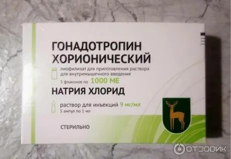 Приготовление раствора гонадотропина