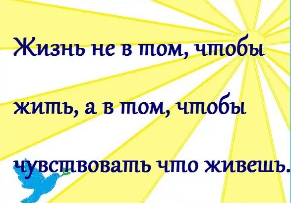 А жизнь стоит того чтобы. Жизнь стоит того чтобы жить.