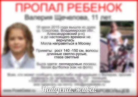 Пропажа роки авилдсена