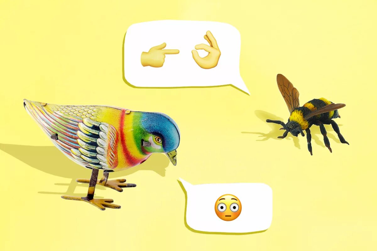 Birds and bees. Птицы и пчелы. Птицы и пчелы игровая. Of Birds and Bees игра. Птицы и пчелы ресторан.