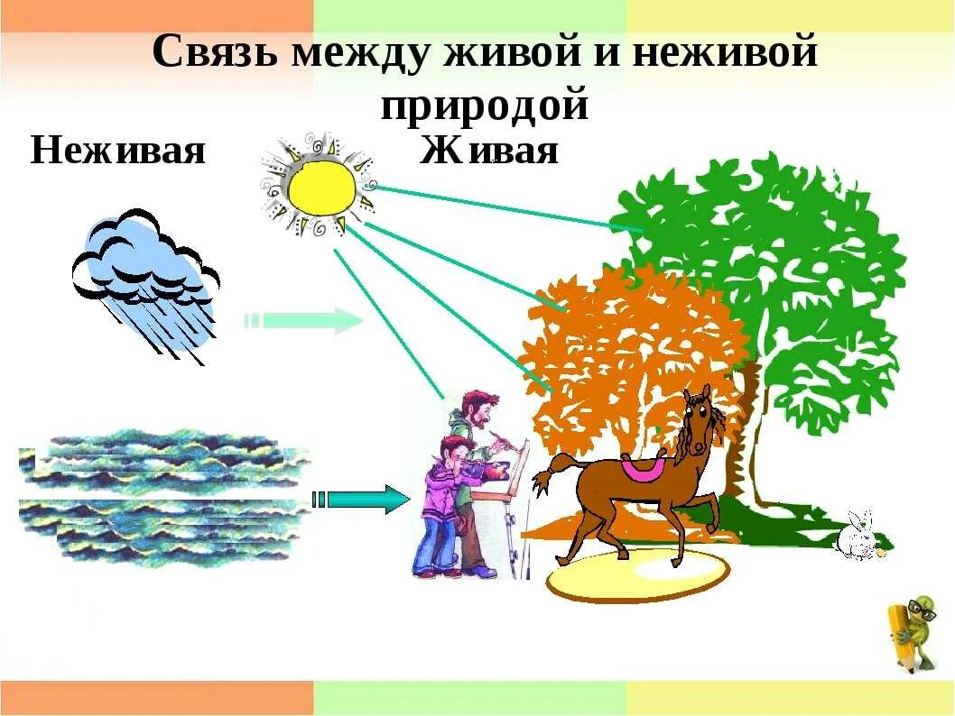 Приведи пример живое и неживое. Схема связи живой и неживой природы. Схема связи живой и неживой природы 2 класс. Взаимосвязь живой и неживой природы 2 класс окружающий мир. Схема связи между живой и неживой природой 2 класс.