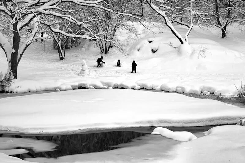 Snow how. Snow how