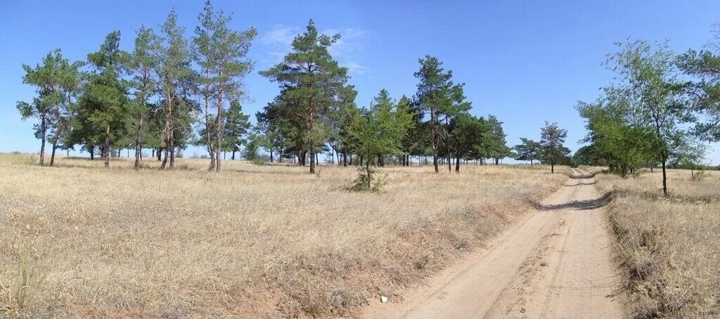 Родник "Горная Поляна" поселок Горная Поляна город Волгоград Волгоградская облас